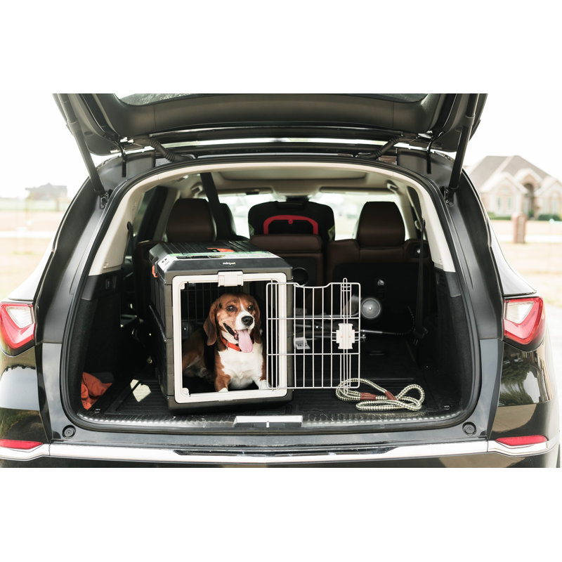 Tucker Murphy Pet™ Usa Pet Airline Travel Crate, Collapsible Carrier